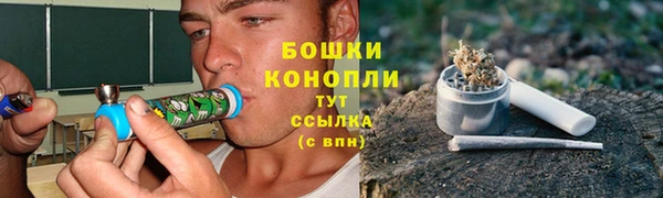 ГАЛЛЮЦИНОГЕННЫЕ ГРИБЫ Алексин