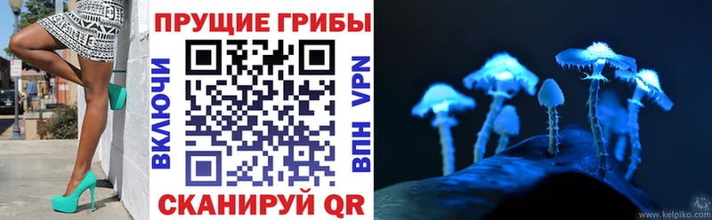 Псилоцибиновые грибы ЛСД  Нелидово 